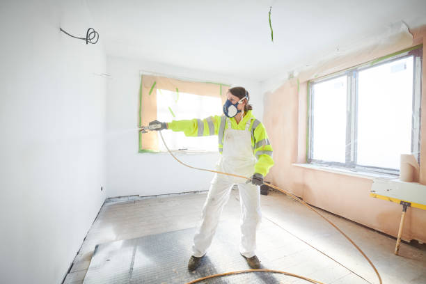 Best Asbestos and Lead Testing During Mold Inspection  in Rockford, MI