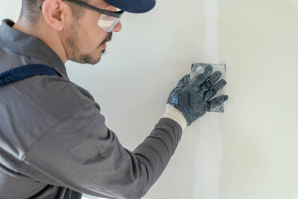 Best Crawl Space Mold Remediation  in Rockford, MI