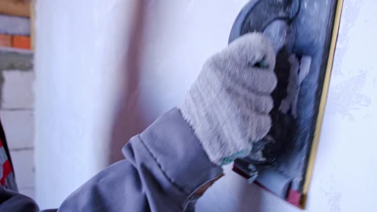 Best Biohazard Mold Removal  in Rockford, MI