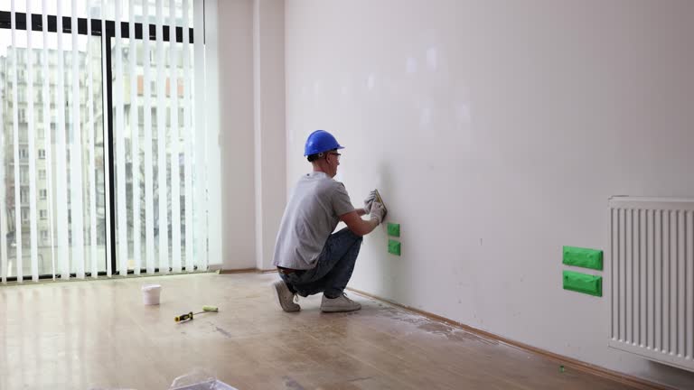 Best Black Mold Removal  in Rockford, MI