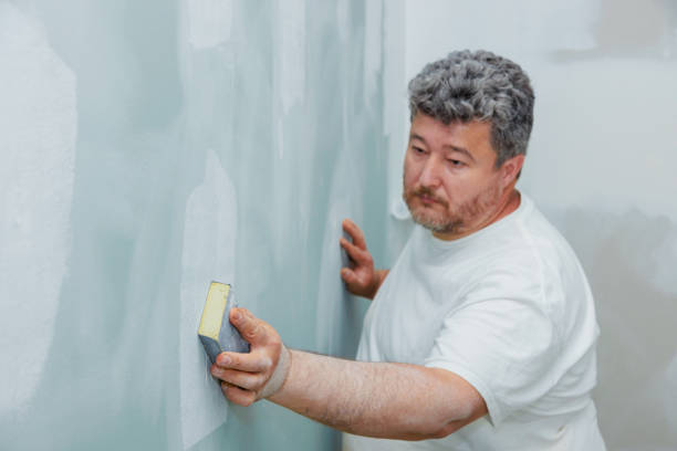 Best Asbestos and Lead Testing During Mold Inspection  in Rockford, MI