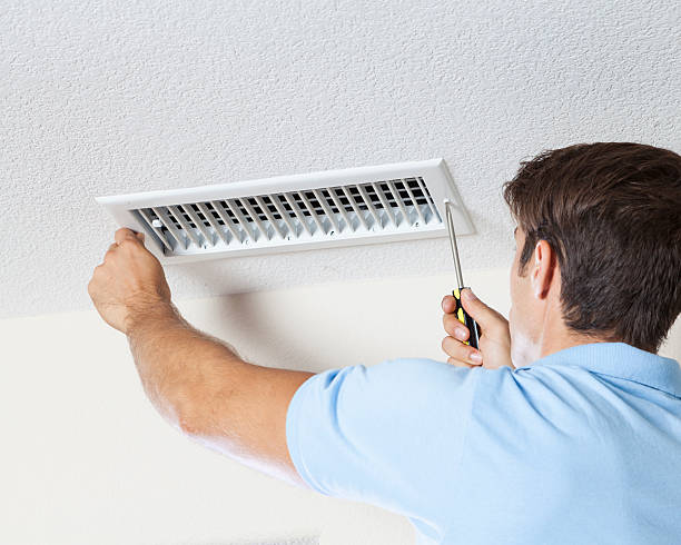 Best Air Quality Testing for Mold Spores  in Rockford, MI