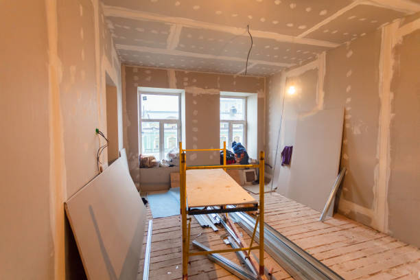 Best Water Damage & Mold Remediation  in Rockford, MI